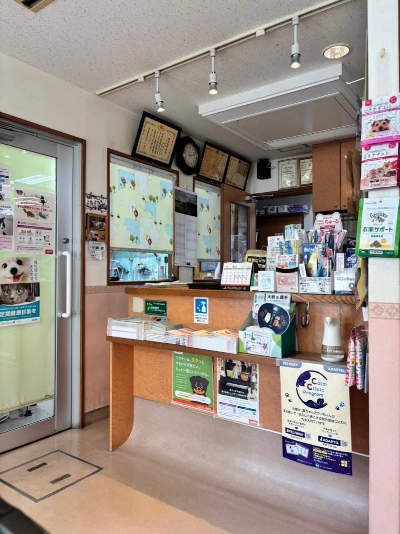 あおぞら動物病院