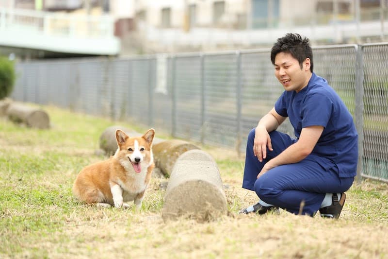 なにわ動物病院