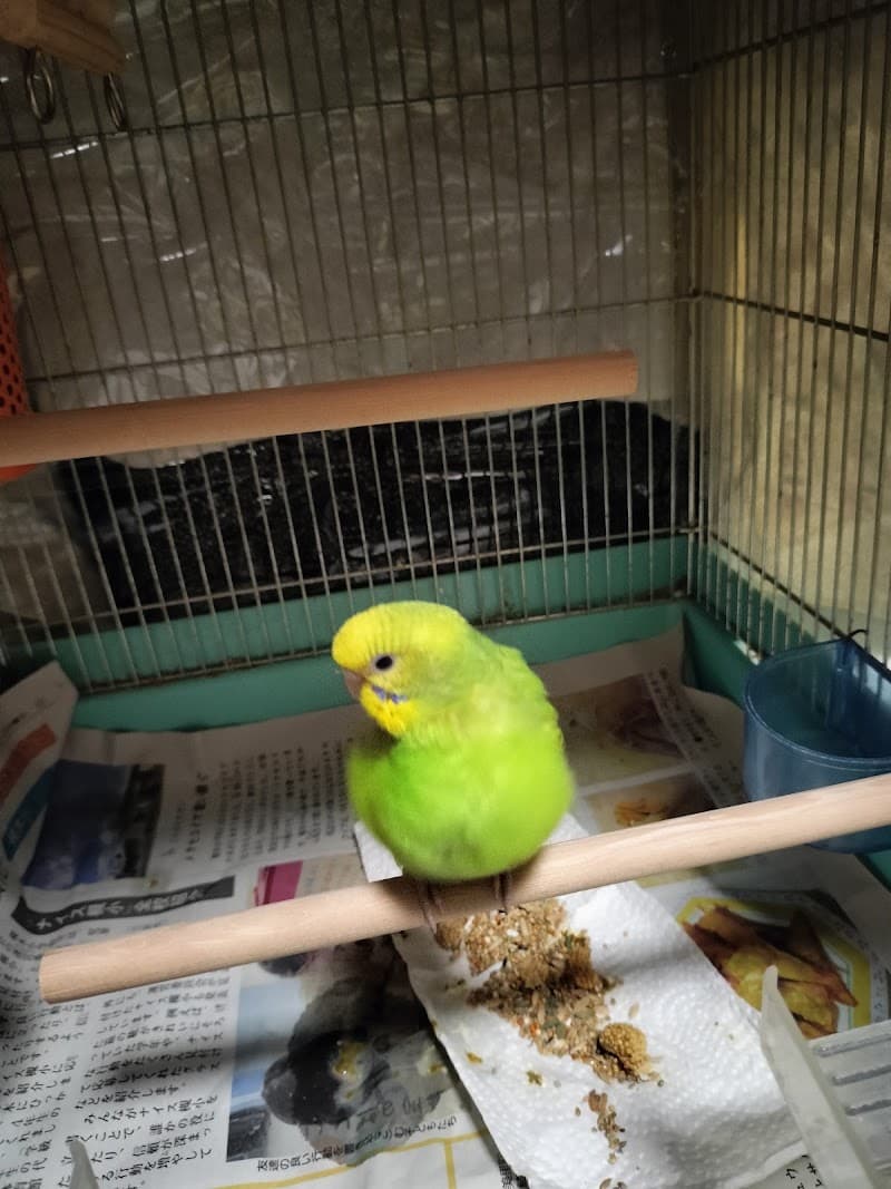 仙台フレンズ動物病院