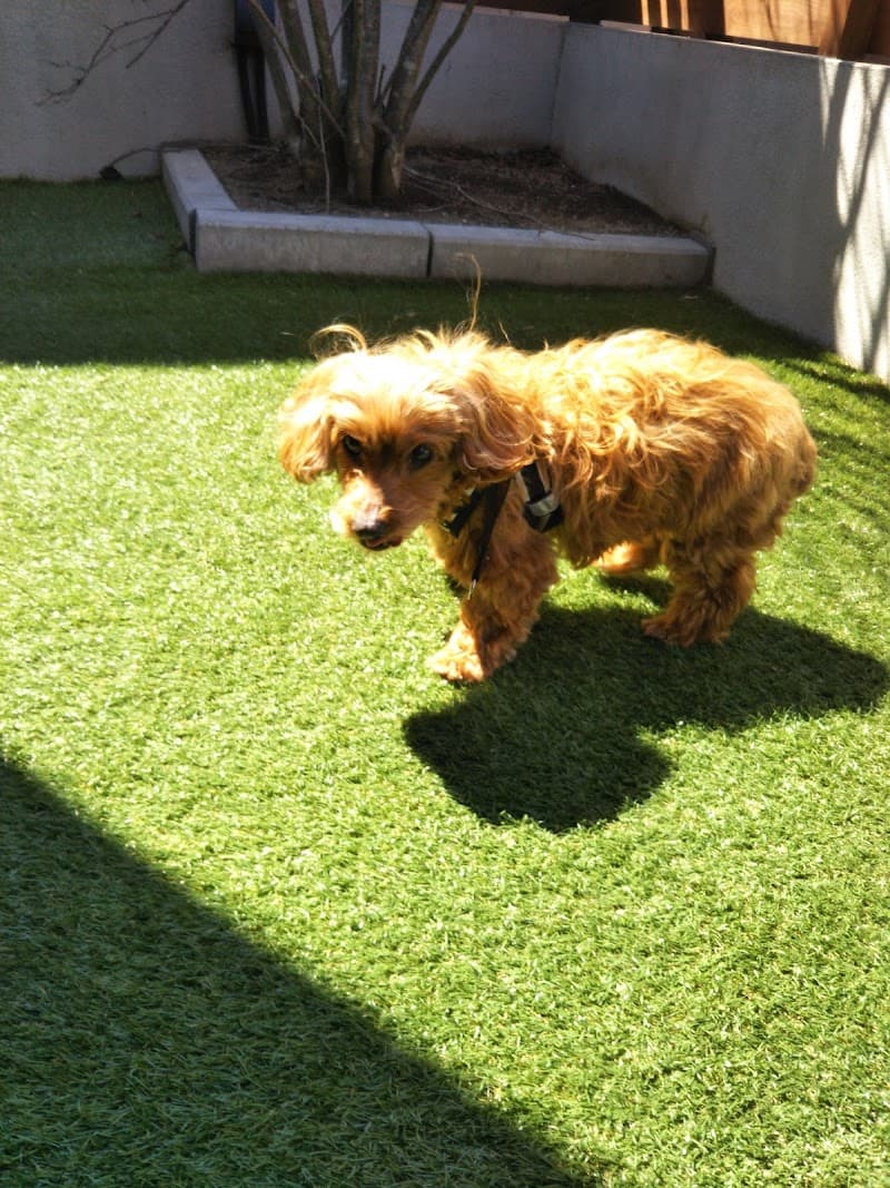 イーズ動物病院