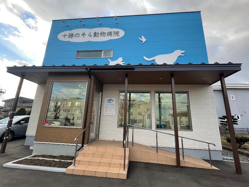 十勝のそら動物病院