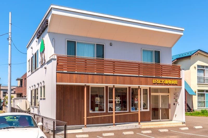 はるにれ動物病院