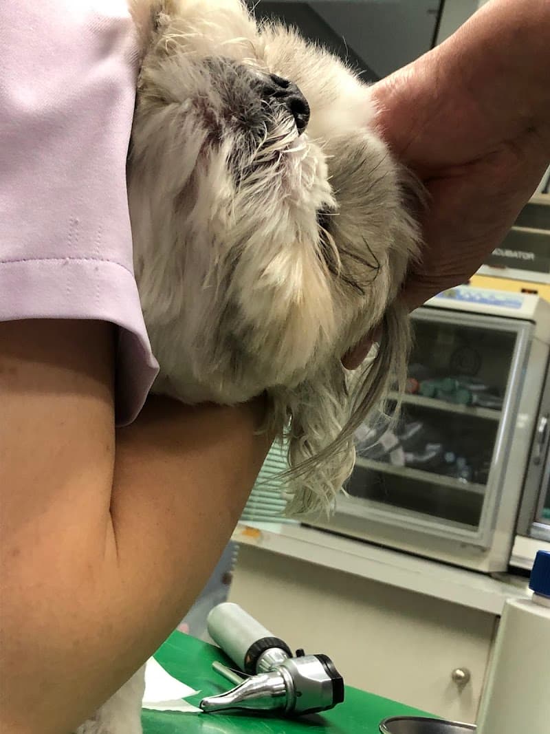 前田獣医科医院/明野医院