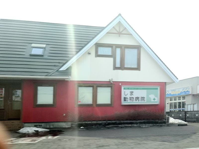 しま動物病院