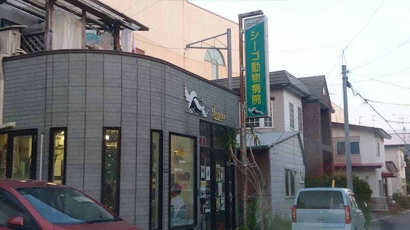 シーゴ動物病院
