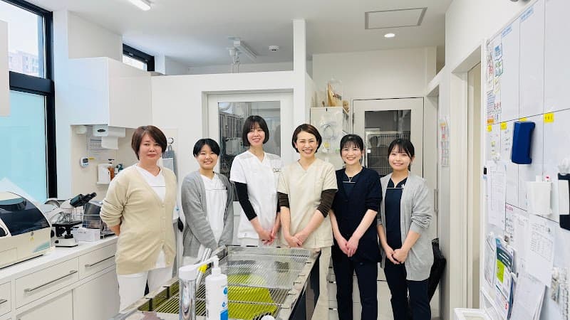 札幌ねこの病院