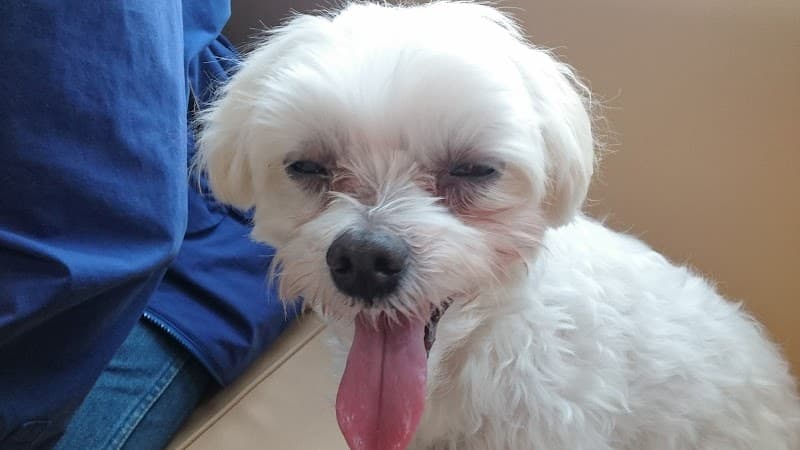 札幌総合動物病院 きたごう院 (旧名: 札幌総合動物病院 北郷院)