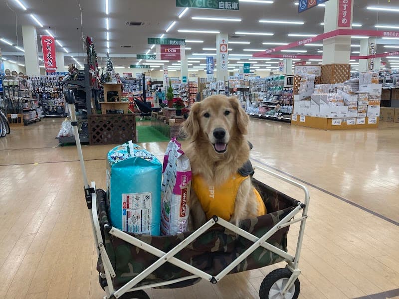 前田獣医科医院/山手医院
