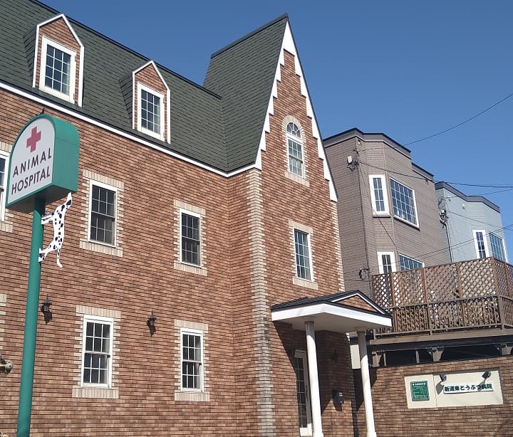 新道東どうぶつ病院