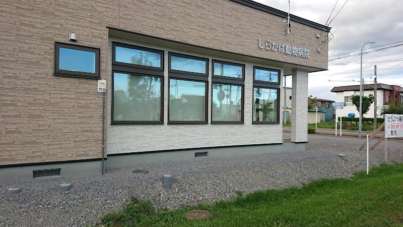 しらかば動物病院