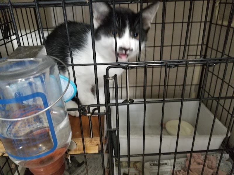 ペット病院オーク