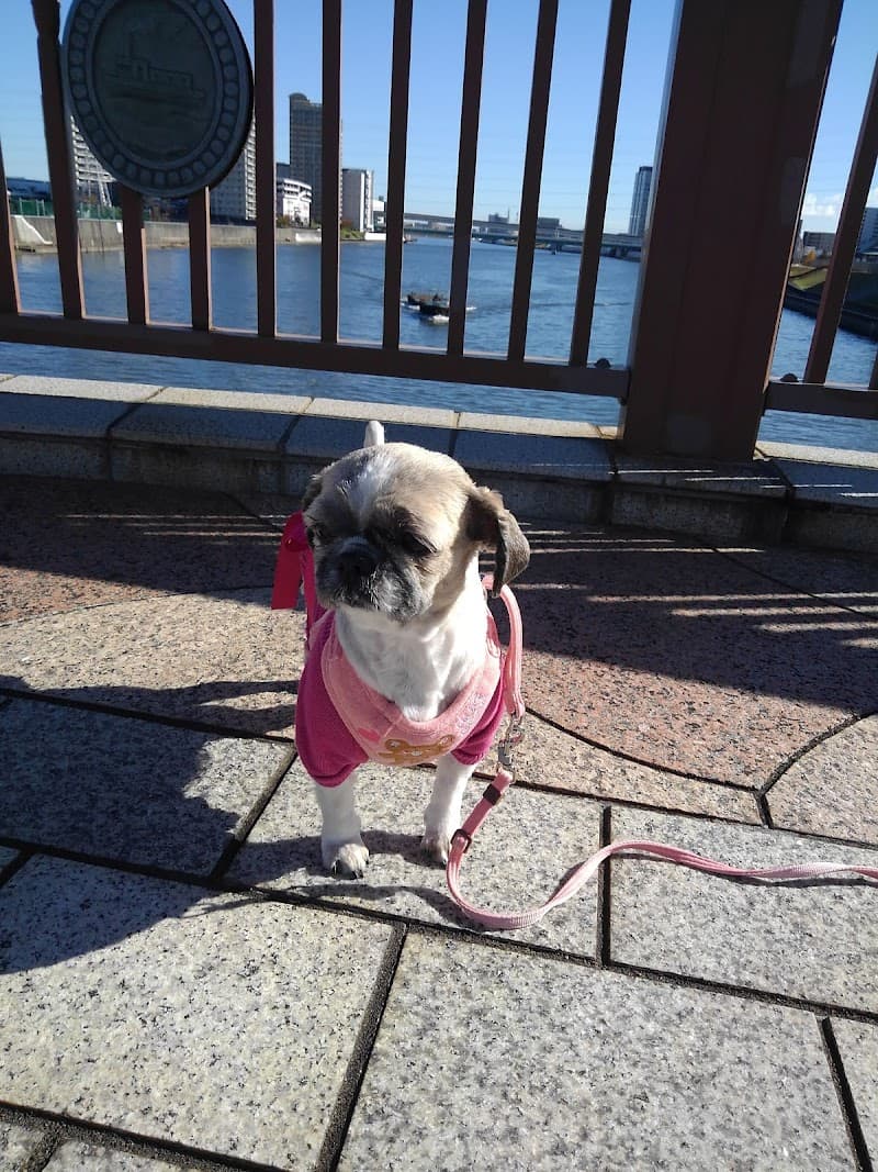 海動物病院 函館往診所