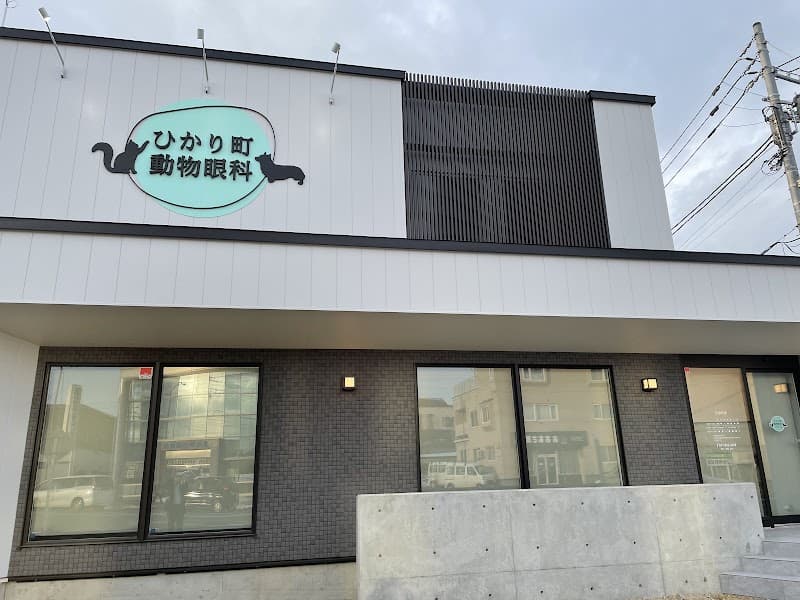 ひかり町動物眼科