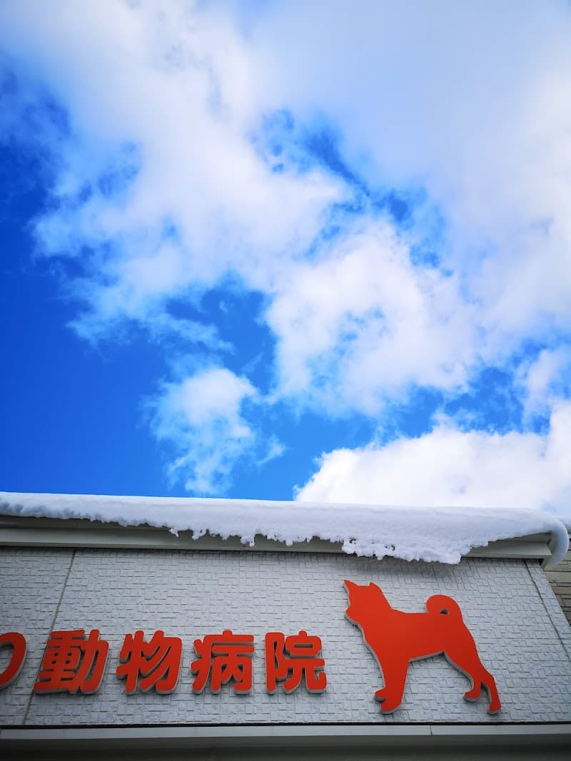 きらり動物病院