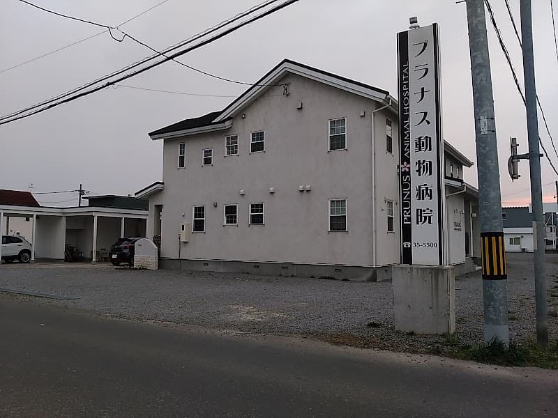 プラナス動物病院