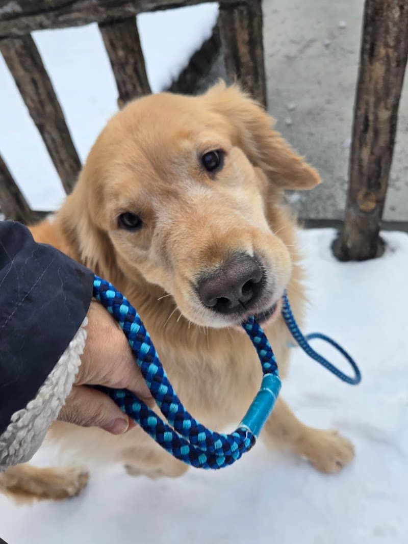 どうぶつ病院 Moku Moku