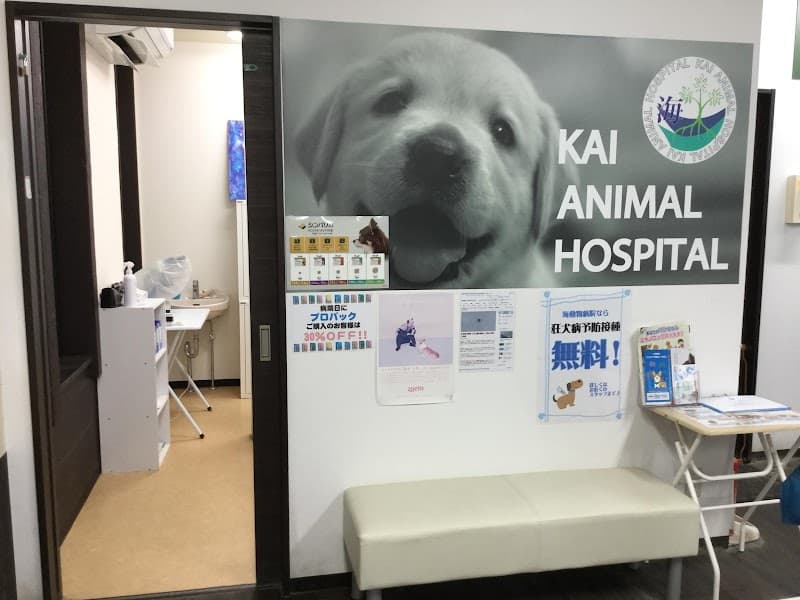 海動物病院 釧路往診所