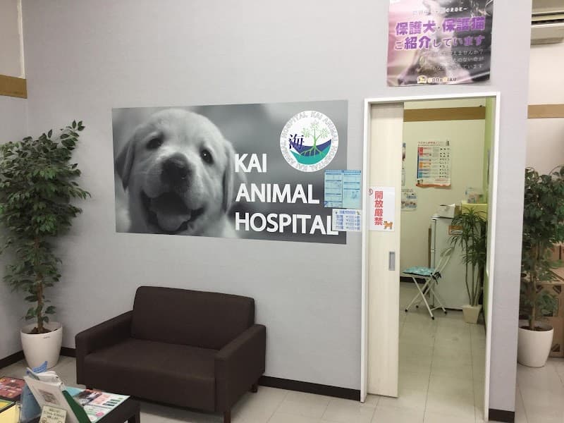 海動物病院 苫小牧往診所