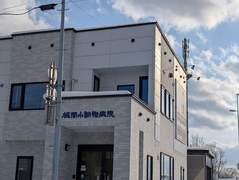 梶間小動物病院