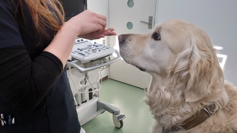 ふじのペットクリニック