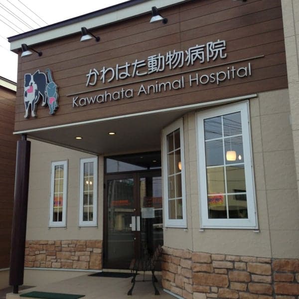 かわはた動物病院
