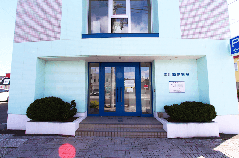 中川動物病院
