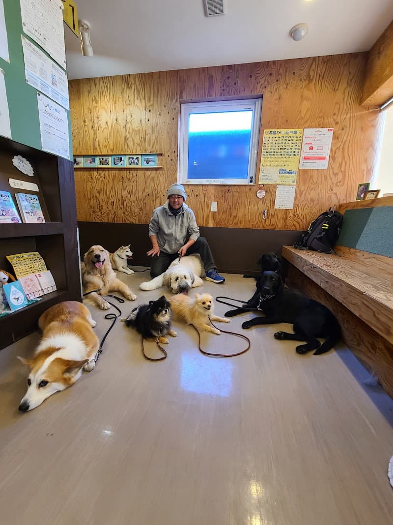 イコロ動物病院