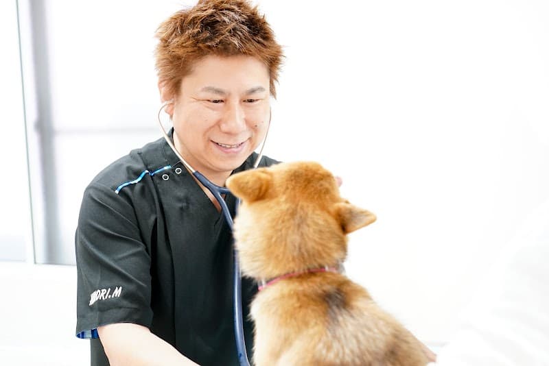 松田アニマルクリニック