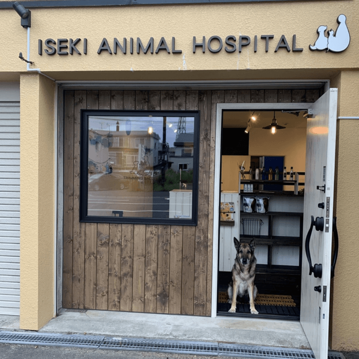 いせき動物病院