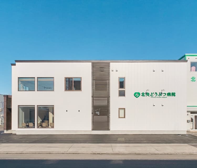 北央どうぶつ病院