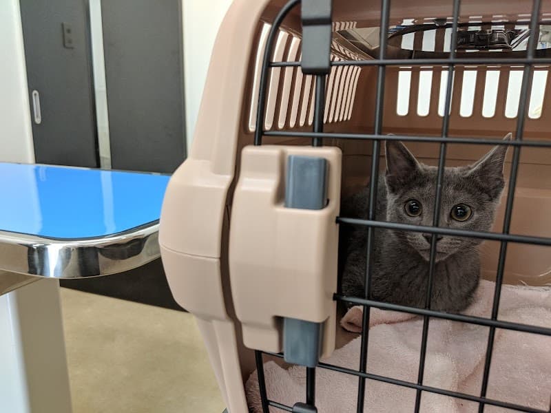 アニマルクリニックフロンティア