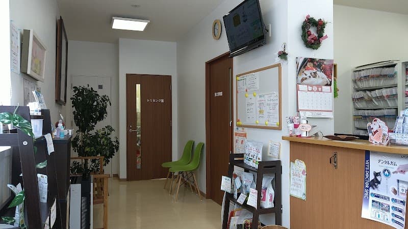 まつい犬猫病院