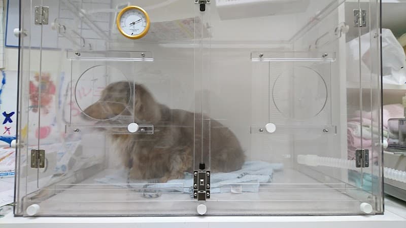 吉岡どうぶつ病院