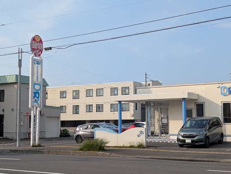 DRYどうぶつ病院