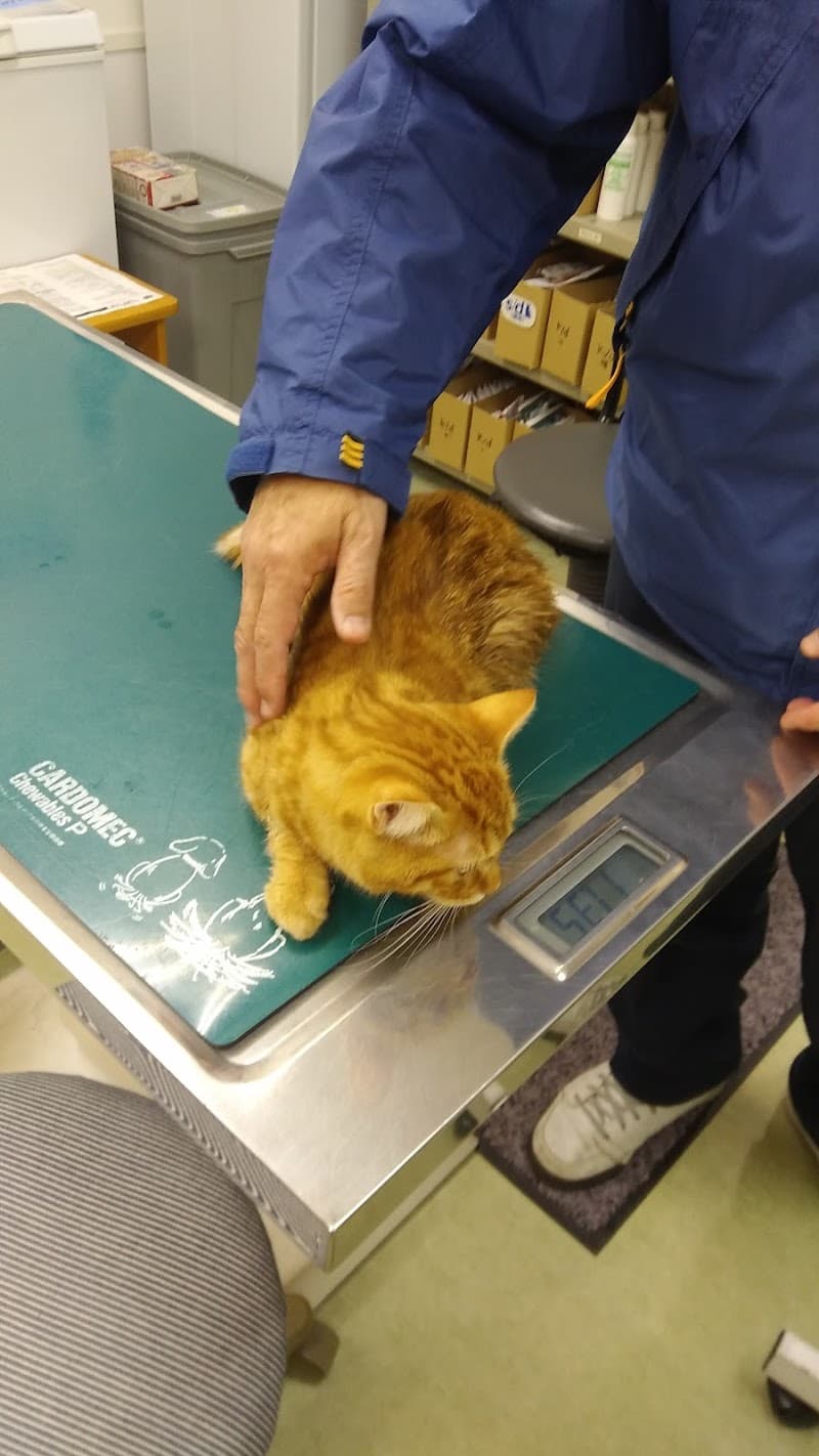 ひろた動物病院