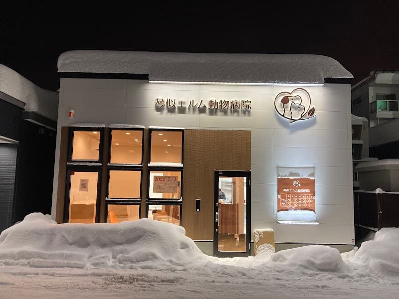 琴似エルム動物病院