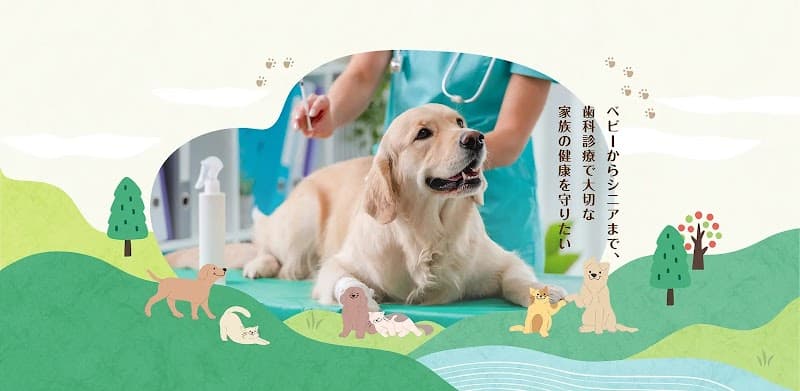 りんご動物病院 さっぽろ犬猫歯科