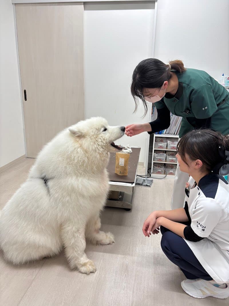 どうぶつの森クリニック (旧名: 緑の森どうぶつ病院公園前クリニック)