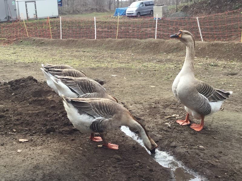 ガイア動物病院