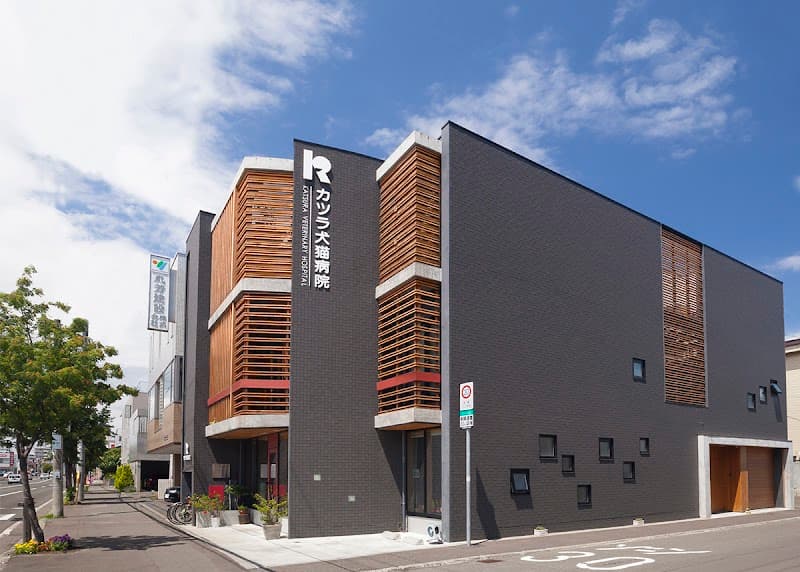 カツラ犬猫病院