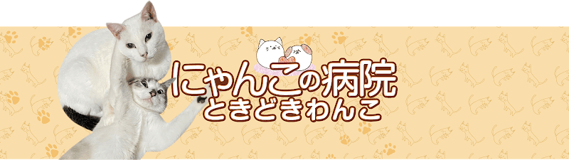 にゃんこの病院ときどきわんこ