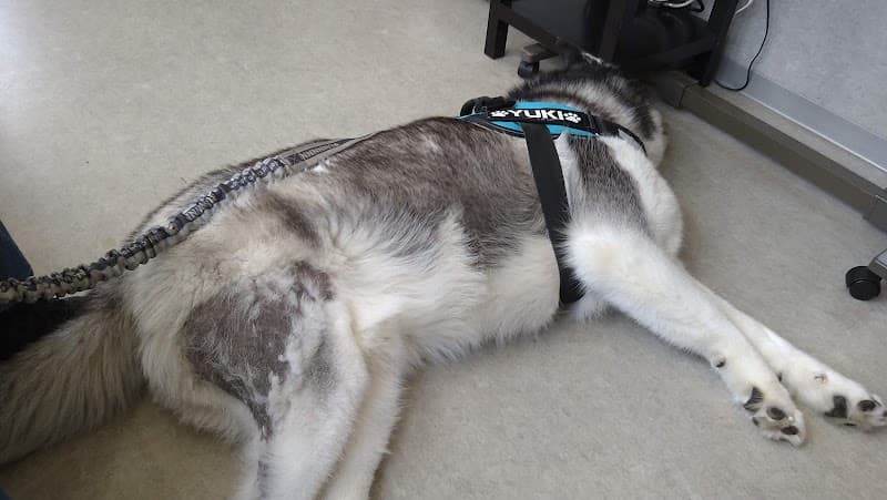 西岡ペットクリニック