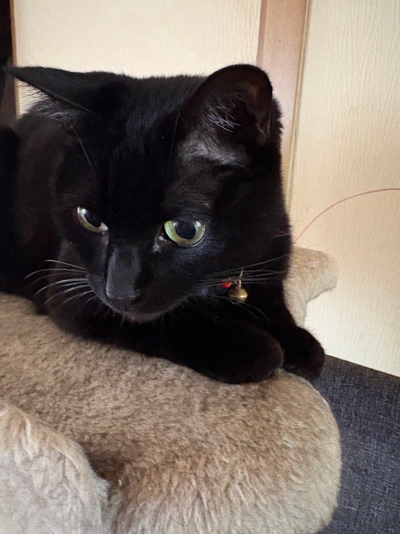 グリンピア動物病院