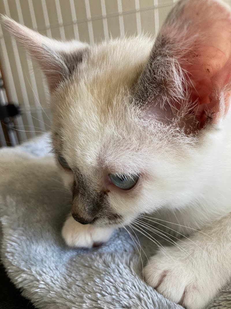 旭川小動物病院