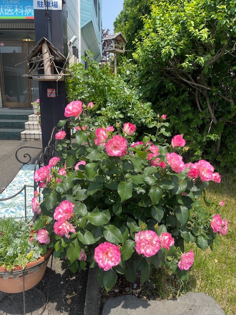 あまない獣医科病院