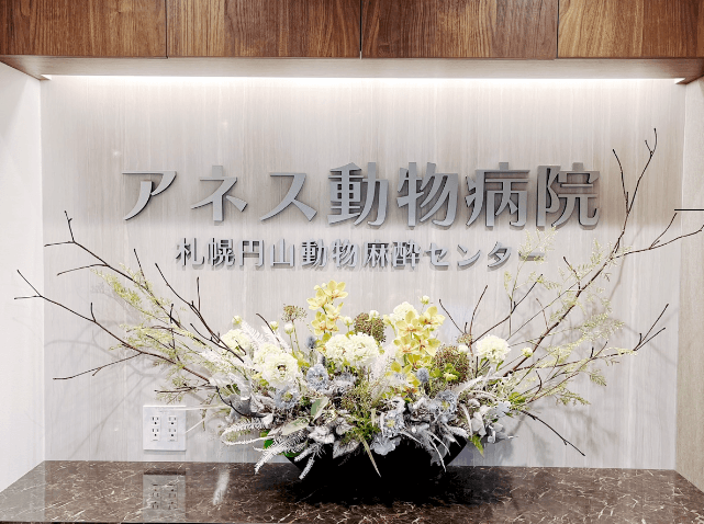 アネス動物病院 札幌円山動物麻酔センター