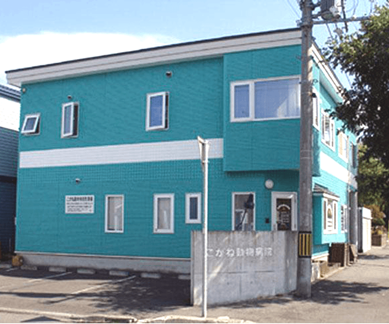 こがね動物病院