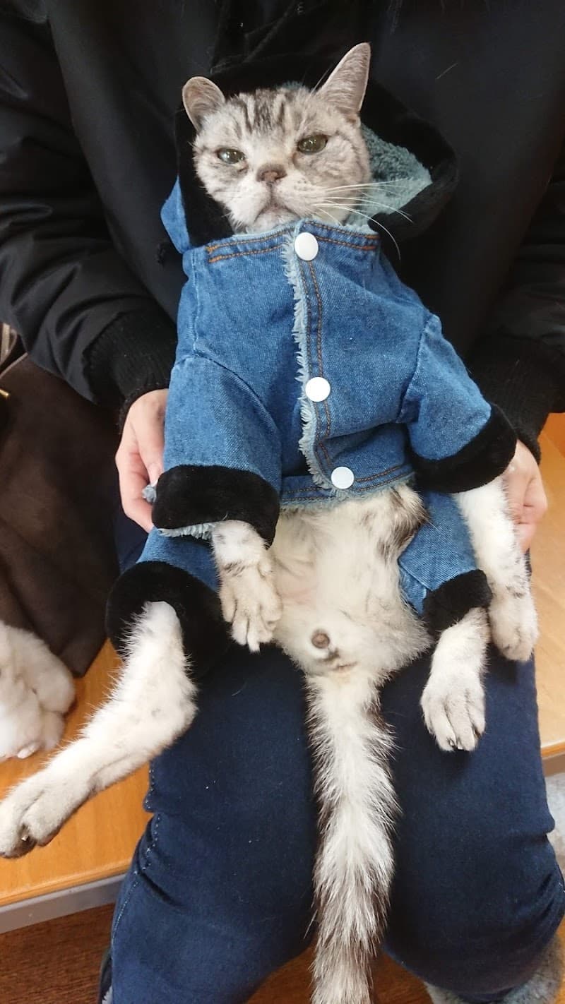 やすだ動物病院