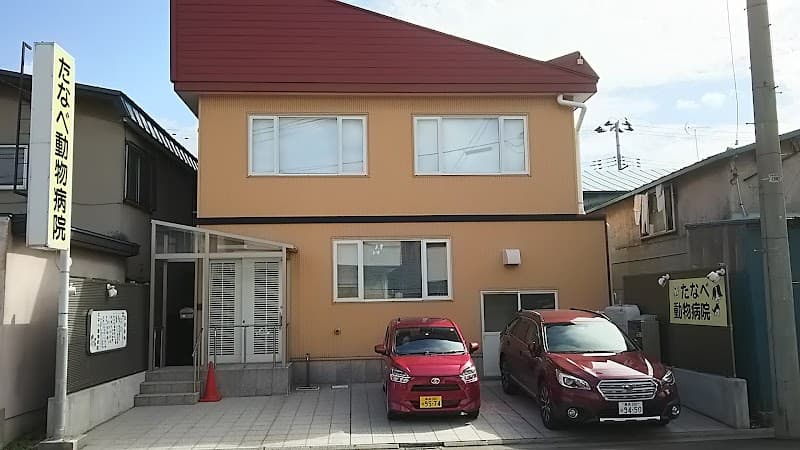 たなべ動物病院