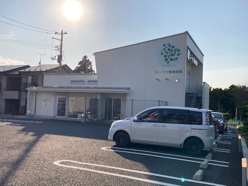 ユーカリ動物病院